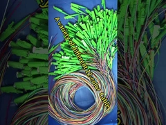 শক্ত 12 কোর লস টিউব এসসি ফাইবার পিগটেল 0.9 মিমি