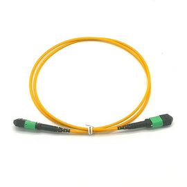 কেনা USCOME 24 কোর এমপিও এমটিপি কেবল G657A1 LSZH 3.0 একক মোড প্যাচ কর্ড কাস্টমাইজড দৈর্ঘ্য online manufacture