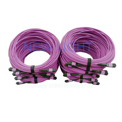 কেনা উচ্চ ঘনত্বের ডেটা সেন্টারগুলির জন্য কাস্টমাইজযোগ্য দৈর্ঘ্যের সাথে OM4 12 কোর এমপিও এমটিপি ক্যাবল online manufacture