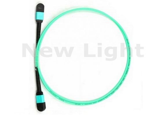 1 এম 12 কোর এমটিপি থেকে এমটিপি ওএম 3 মাল্টিমোড ফাইবার অপটিক প্যাচ কর্ড ক্যাবল