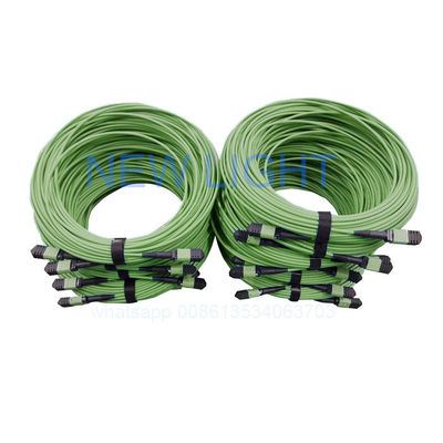 কাস্টম দৈর্ঘ্য এবং এমপিও ফাইবার সংযোগকারী সহ 12 কোর ওএম 4 এমপিও এমটিপি তারের